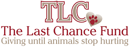 Last Chance Fund (TLC)